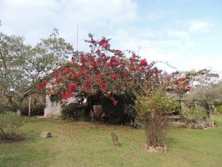 Pousada Sitio Da Serra Carrancas Exterior foto